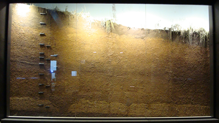 岩宿遺跡・地層