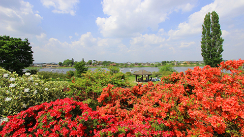 館林市つつじが岡公園